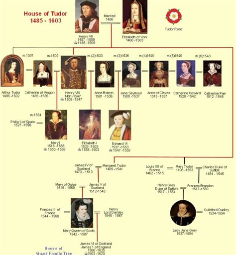 king henry 7th family tree.